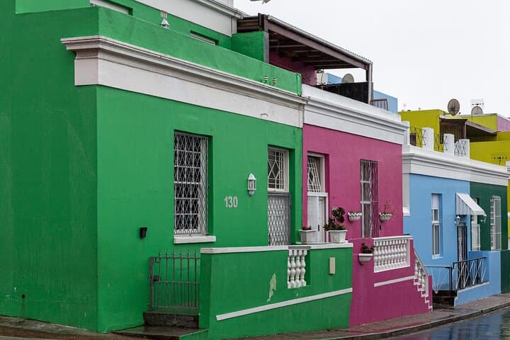 Cape Peninsula & Penguins Private Day Tour — Cape Point, Boulders Beach & Chapman’s Peak photo 3