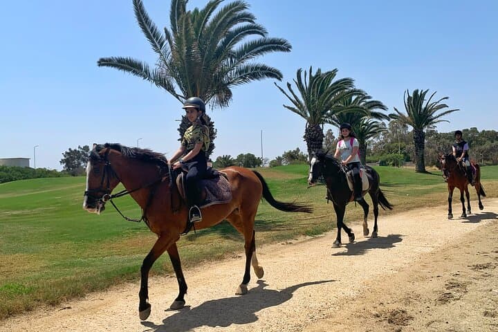 Horseback Riding with Private Transfer in Monastir: Beach & Countryside Ride