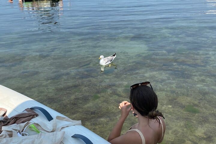 Saint-Jean-de-Luz Boat Trip — Snorkel Secret Coves, Picnic Beaches & Dolphins on the Basque Coast photo 5