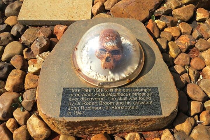 Evolution of Humanity Tour: Sterkfontein Caves, Maropeng, Lesedi & Pilanesberg Safari photo 1