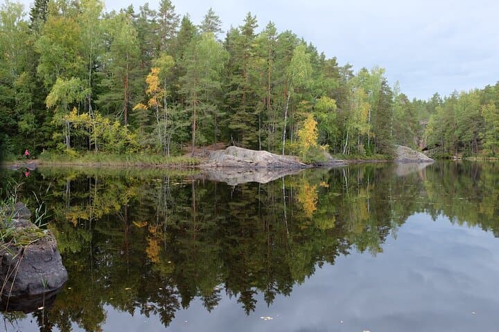 Repovesi National Park Private Excursion: Photography, Lapinsalmi Bridge & Laavu Cooking