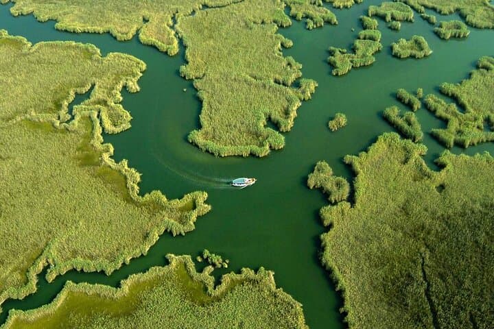Full-Day Dalyan & Iztuzu (Turtle Beach) Day Trip from Bodrum