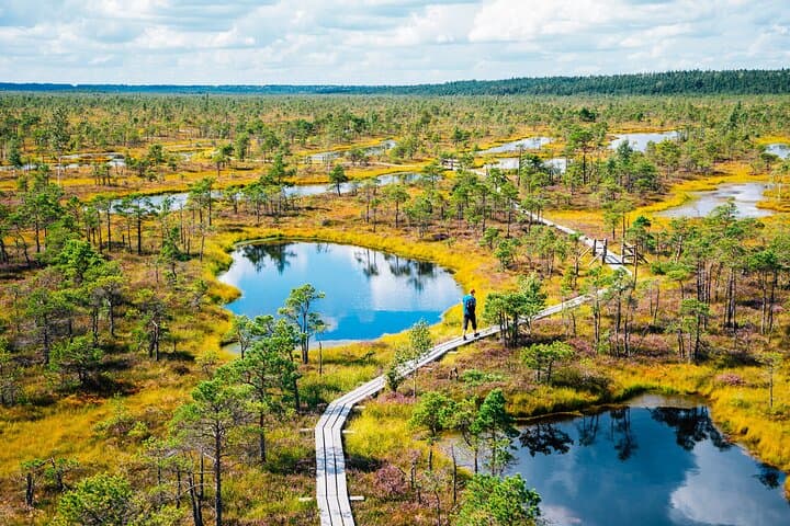 Explore Jurmala and the Great Kemeri Bog Boardwalk: Private Full-Day Escape from Riga photo 3
