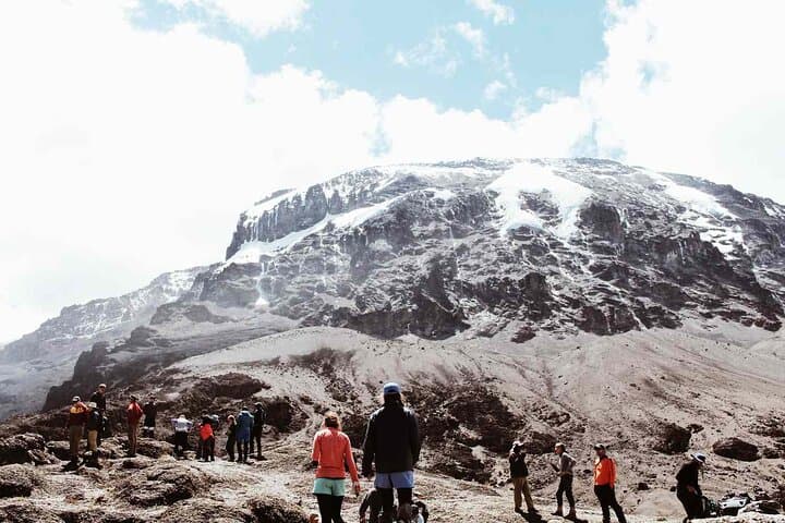 Kilimanjaro Day Hike: Marangu Gate to Mandara Hut & Maundi Crater photo 4