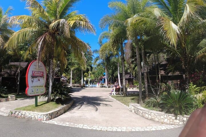 Climb Dunn's River Falls: Falmouth to Ocho Rios Guided Tour photo 5