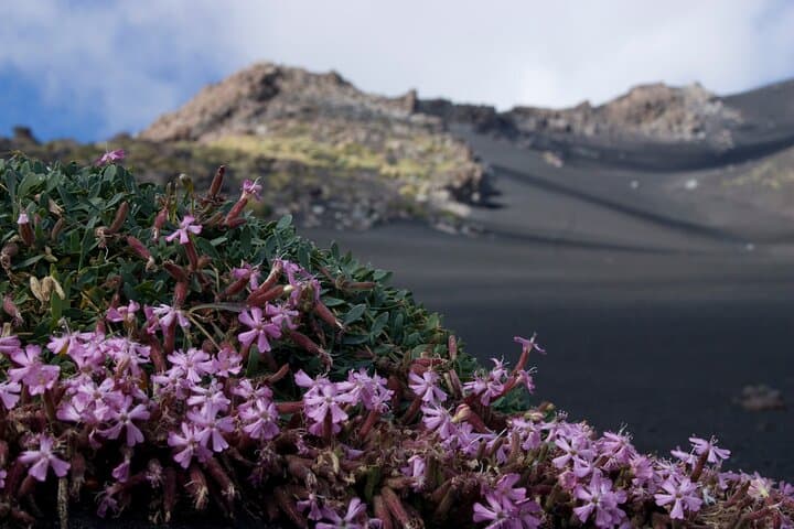 Etna Morning or Sunset Trek & Lava Tunnel Adventure photo 5