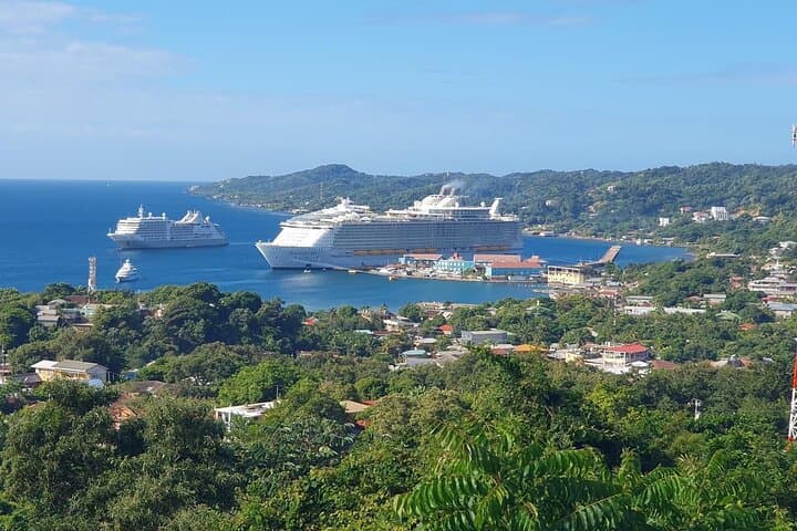 Roatan Highlight Private Tour: Animal Sanctuary, Chocolate & West Bay Beach photo 2