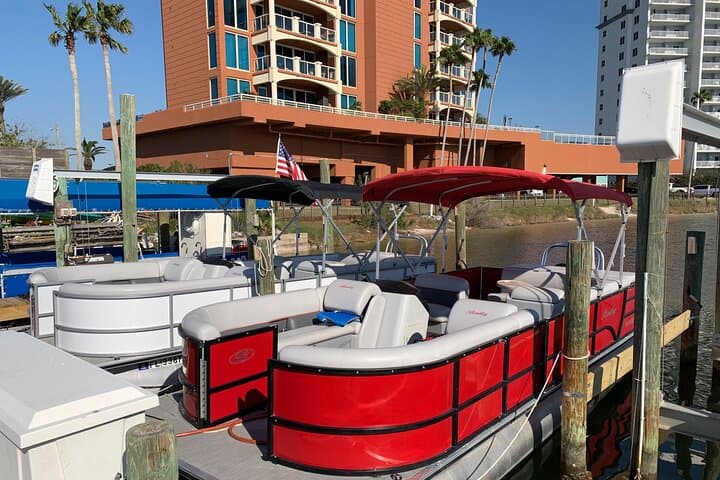 Frisky Mermaid Pontoon Rentals: Self-Guided Boating & Dolphin Watching in Pensacola Beach photo 1