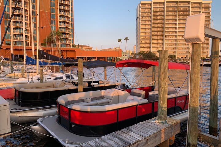 Frisky Mermaid Pontoon Rentals: Self-Guided Boating & Dolphin Watching in Pensacola Beach photo 3