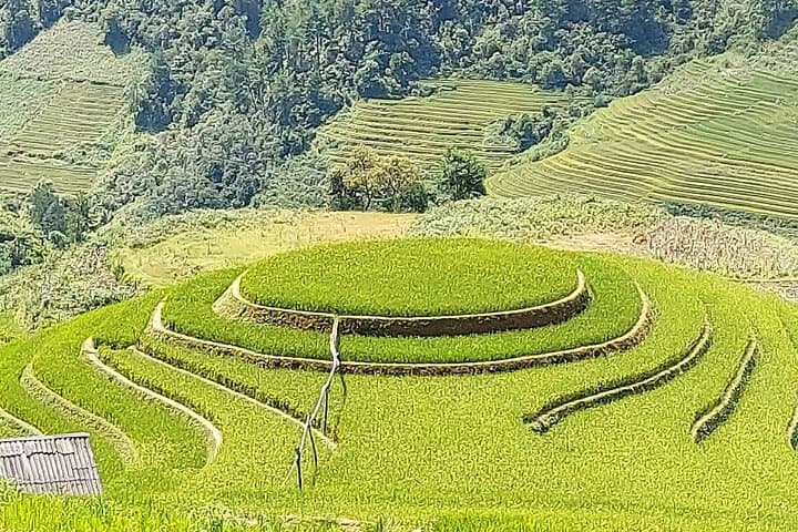 2-Day Sapa Homestay Trek: Muong Hoa Valley & Ta Van Village photo 2