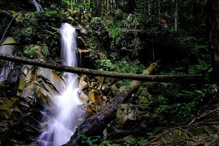 Dream Day in Kuala Lumpur: Batu Caves, Waterfall Swim & Local Eats photo 4