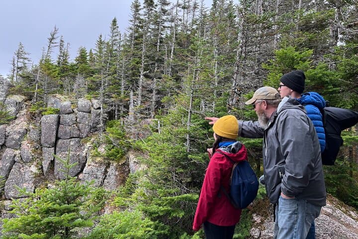 Cape Breton UTV Shore Excursion — Hunter's Mountain Side-by-Side Tour from Sydney photo 5