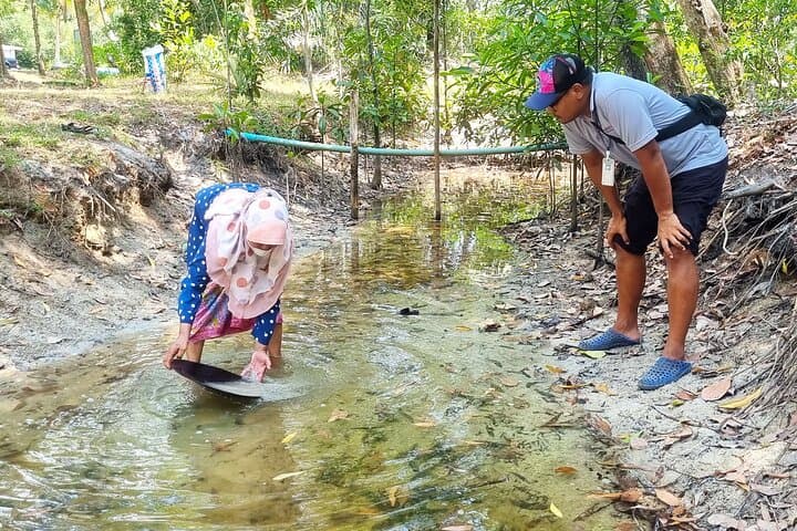 Tha Din Deang Community Day Tour — Kayak Mangroves, Tie‑Dye & Tin‑Panning Near Khao Lak photo 2
