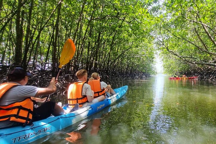 Tha Din Deang Community Day Tour — Kayak Mangroves, Tie‑Dye & Tin‑Panning Near Khao Lak photo 4