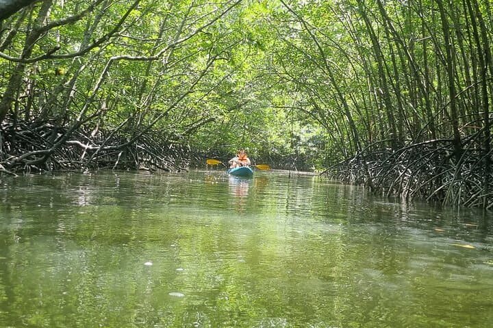 Tha Din Deang Community Day Tour — Kayak Mangroves, Tie‑Dye & Tin‑Panning Near Khao Lak photo 5