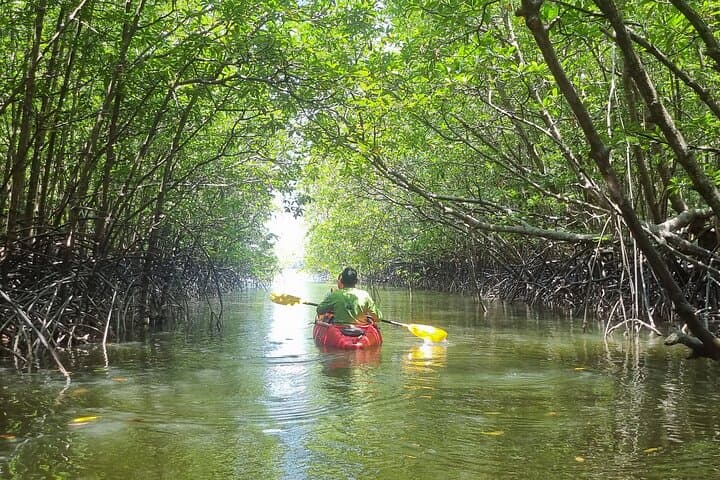 Tha Din Deang Community Day Tour — Kayak Mangroves, Tie‑Dye & Tin‑Panning Near Khao Lak photo 6