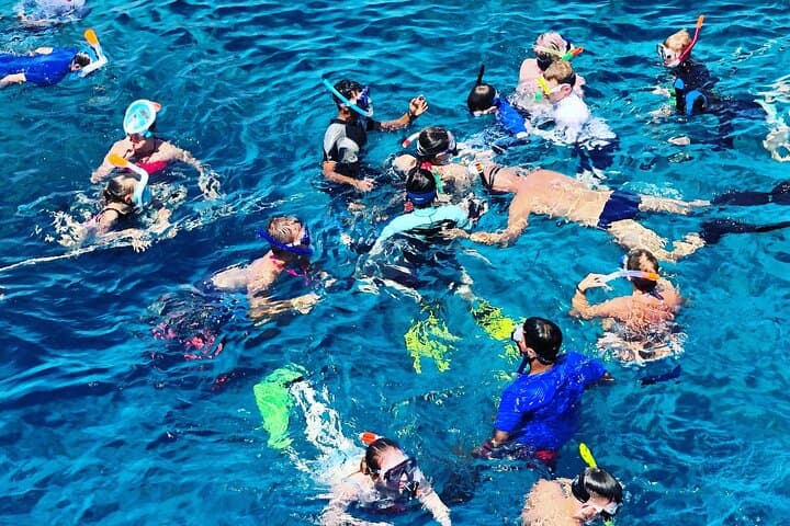 Private 3-Hour Snorkeling & Dolphin-Watching Tour from Muscat: Coral Reefs and Wild Dolphins photo 6