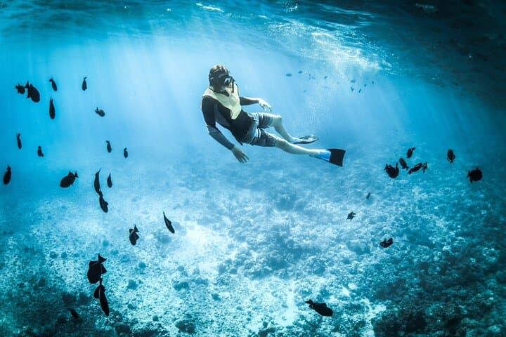 Private 3-Hour Snorkeling & Dolphin-Watching Tour from Muscat: Coral Reefs and Wild Dolphins