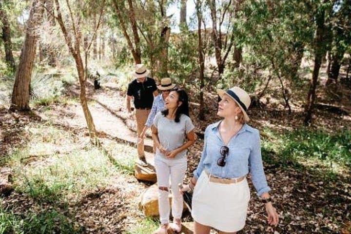 Passel Estate Nature and Wine Walk — Margaret River Conservation Winery Tour photo 2