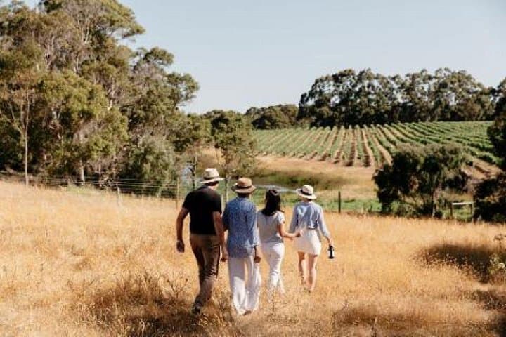 Passel Estate Nature and Wine Walk — Margaret River Conservation Winery Tour photo 3