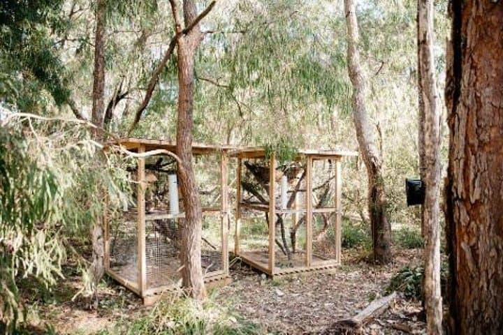 Passel Estate Nature and Wine Walk — Margaret River Conservation Winery Tour photo 4
