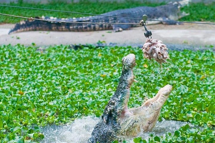 Crocodile Adventureland Langkawi Adventure Combo Tour photo 4