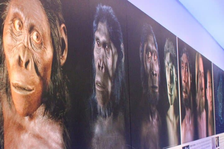 Evolution of Humanity Tour: Sterkfontein Caves, Maropeng, Lesedi & Pilanesberg Safari photo 3