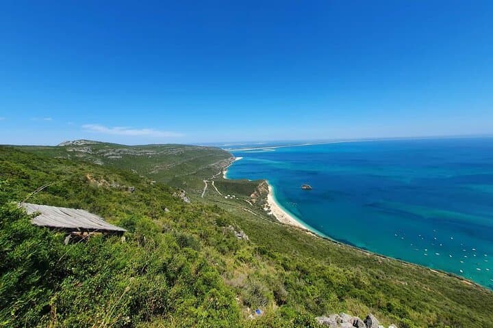 Arrábida Day Tour from Lisbon: Wine, Coastal Views & Setúbal Seafood