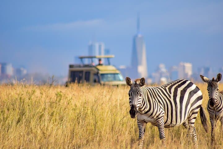Half Day Safari at Nairobi National Park: Wildlife, History, and Conservation Close to Nairobi photo 2