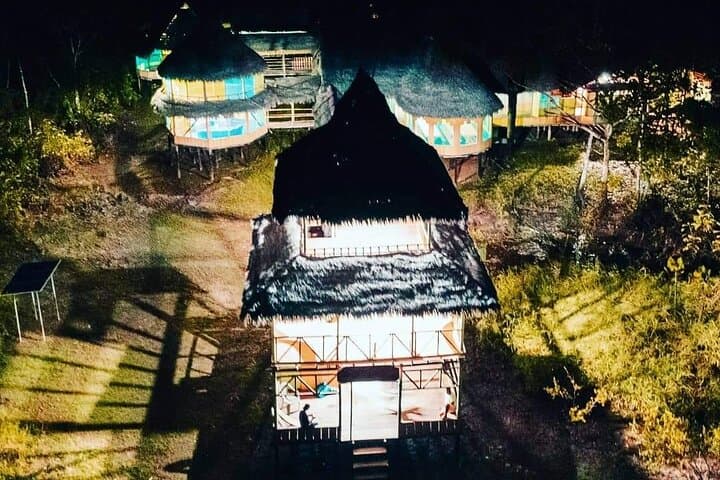 Amazon Jungle Explorer: 5-Day Iquitos Adventure photo 4