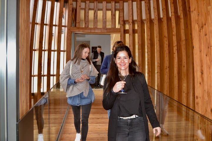 Private Champagne Day Trip from Paris: Cellars, Tastings & Vineyard Picnic