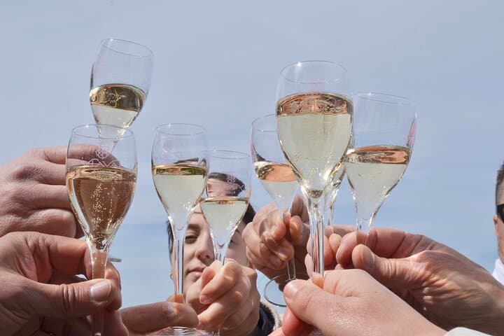 Private Champagne Day Trip from Paris: Cellars, Tastings & Vineyard Picnic photo 3