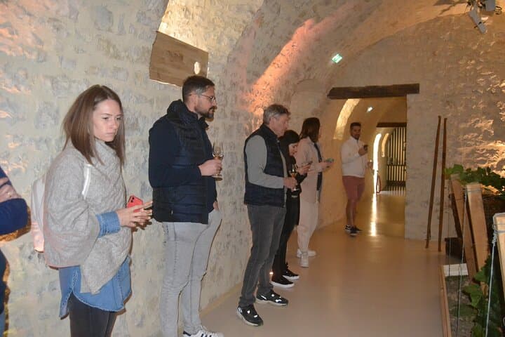 Private Champagne Day Trip from Paris: Cellars, Tastings & Vineyard Picnic photo 5