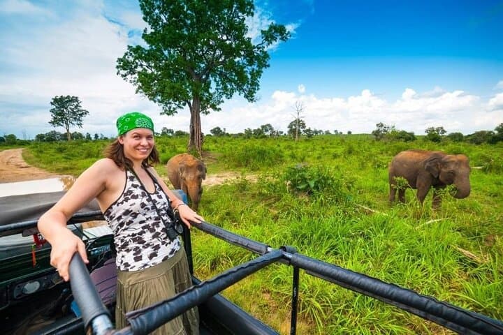 4-Day Serengeti and Ngorongoro Crater Small-Group Safari