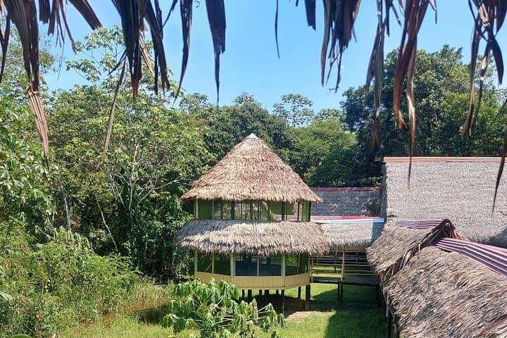 Amazon Jungle Explorer: 5-Day Iquitos Adventure photo 5