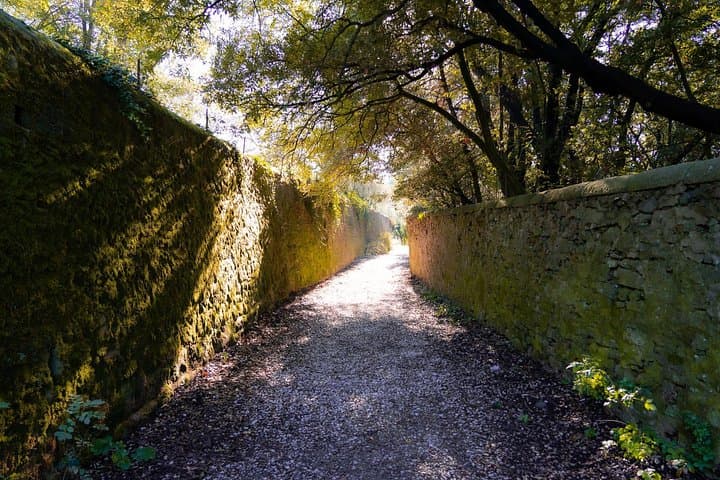 Fiesole Hike and Italian Aperitivo: Monte Ceceri, Olive Groves & Leonardo's Flight photo 4