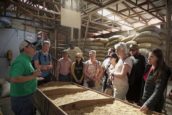 Poás Volcano & Doka Coffee Estate Half-Day: Coffee Tour and Crater Views from San José photo 3