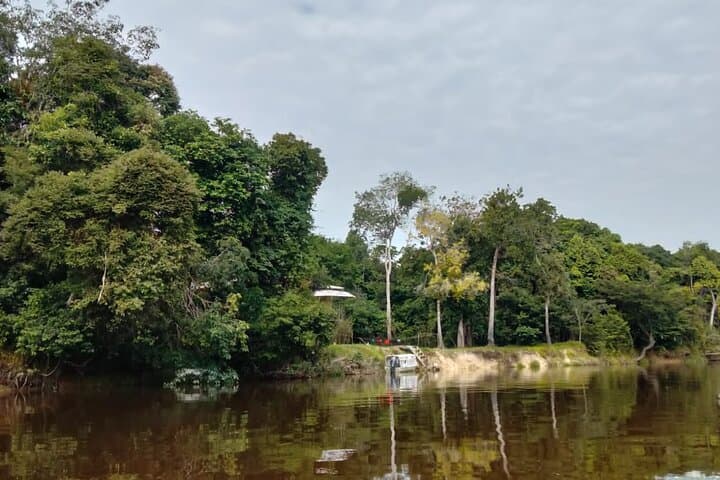 Amazon Adventure: 4-Day Jungle Explorer from Iquitos photo 3