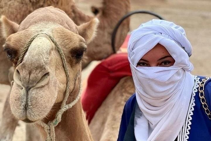 Palmeraie Quad Tour with Tea & Photo Stop — Marrakech ATV Adventure photo 3