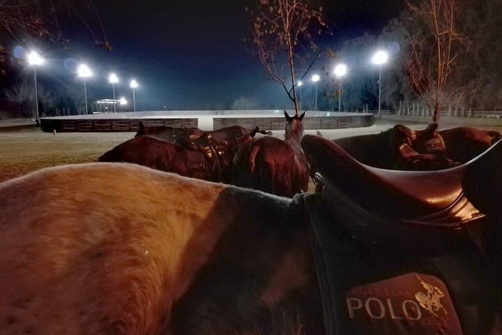 Night Polo Under the Stars with Argentine Asado from Buenos Aires