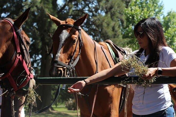 Pampas Horseback Riding and Polo Day Trip from Buenos Aires photo 2