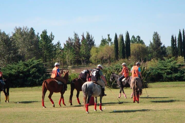 Pampas Horseback Riding and Polo Day Trip from Buenos Aires photo 6
