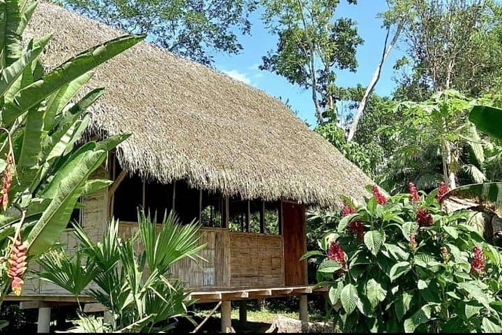 Cabañas Awana Private Amazon Tour: Kichwa Culture, Clay-Licks & Night Walks