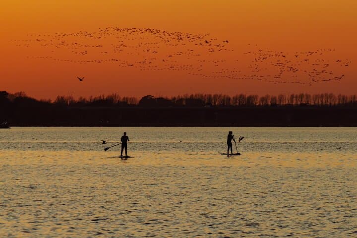 Sunset SUP on Malahide Estuary: Evening Paddle with Wildlife photo 2