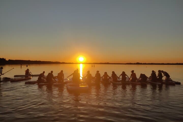 Sunset SUP on Malahide Estuary: Evening Paddle with Wildlife photo 6