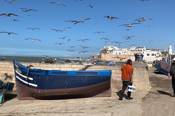 Essaouira Day Trip from Marrakech: Coastal City, Argan Trees & Medina Walk photo 1