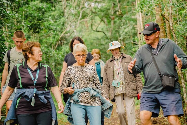 Breakfast Bushwalk & Clifftop BBQ Tour on Norfolk Island — Mt Bates to Captain Cook Monument photo 1