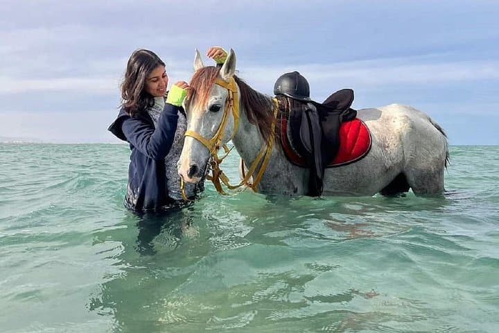 Hurghada Horseback Ride: 2-Hour Desert and Red Sea Sunset Adventure