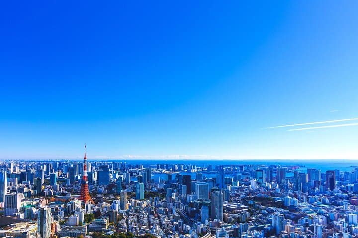 Tokyo Helicopter Cruise: Skyline, Mount Fuji & Coastal Flight Options photo 5