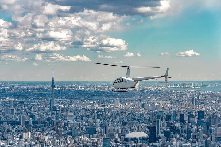 Tokyo Helicopter Cruise: Skyline, Mount Fuji & Coastal Flight Options